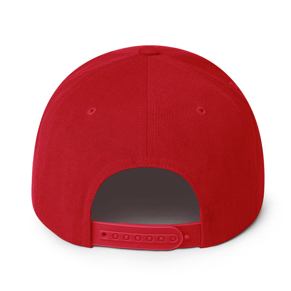 Georgia Solid Red Snapback - 3D Puffy Black Embroidery Edition